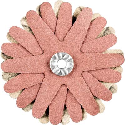 PFERD TOOLS 42732089 Schuursterren Diameter 60 mm 10 stuk(s)