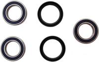 ALL BALLS Racing wiellagerset wheel bearing sets 25-125 complete with simmerrings - thumbnail