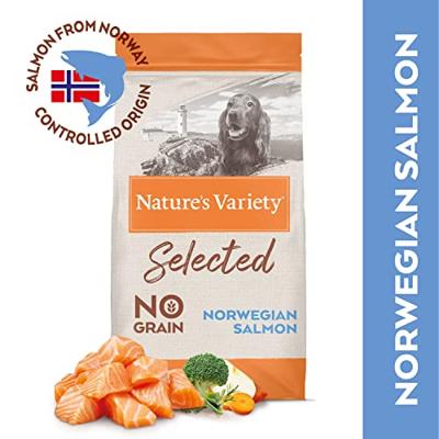 Natures Variety selected adult medium norwegian salmon