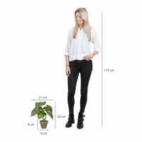 Decoratieve plant Mica Decorations Caladium Ø 21 x 28 cm Kunstmatig - thumbnail