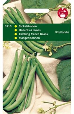 Zaden Stokslabonen Westlandse Dubbele zonder draad 100g Tuinplus - Tuinplus