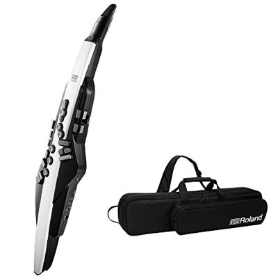 Roland AE-20 Aerophone digitaal blaasinstrument Roland AE-20 Aerophone digitaal blaasinstrument