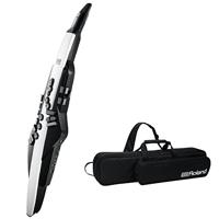 Roland AE-20 Aerophone digitaal blaasinstrument - thumbnail