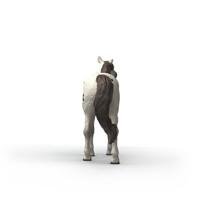 schleich HORSE CLUB Knabstrupper ruin 14916 - thumbnail