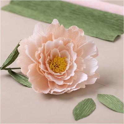 https://www.cchobby.nl/mini-hobbyset-crepepapier-pioenroos-crepe-verhouding-180-105-gr-1-doos
