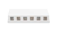 Digitus DN-93705 6 poorten Consolidation Point 1 HE Meerdere kleuren Niet ingericht - thumbnail