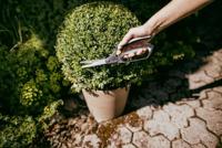 Fiskars Graskantschaar S50 - 1000557 - 1000557 - thumbnail