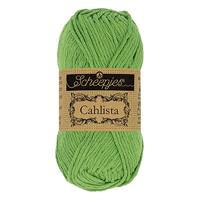Scheepjes Cahlista 50g - 412 Forest Green - thumbnail