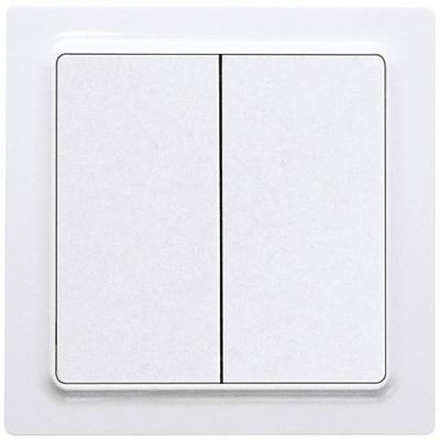 Eltako W2T55E-wg Toets Inbouw (in muur)