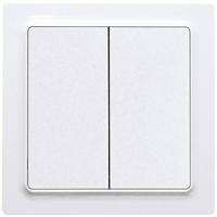 Eltako W2T55E-wg Toets Inbouw (in muur) - thumbnail