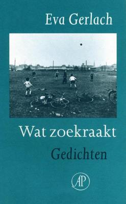 Wat zoekraakt - Eva Gerlach - ebook