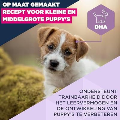 EUKANUBA Puppy Small/Medium Lamb & Rice - droog hondenvoer - 3kg