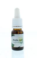 Star Remedies Herfstaster 10 Milliliter - thumbnail