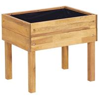 VidaXL Plantenbak verhoogd 50x40x45 cm massief acaciahout - thumbnail