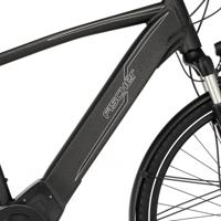 Fischer Viator 6.0i H 55cm Trekking Elektrische Fiets - Grijs - thumbnail