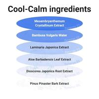 Isntree Hyaluronic Acid Airy Sun Stick 22 g - thumbnail