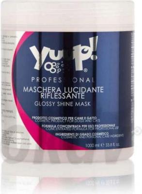 Glossy Shine Mask 1000 ml