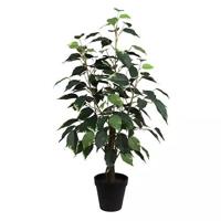 Ficus Bonsai Donkergroen 60 cm kunstplant Buitengewoon de Boet - Buitengewoon de boet - thumbnail