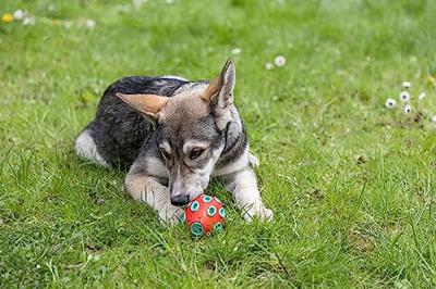 Rugby toyfastic te vullen roodturkoois 12 x 75 cm