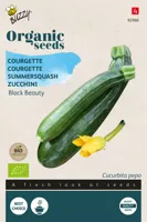 Biologische Courgette Black Beauty - thumbnail