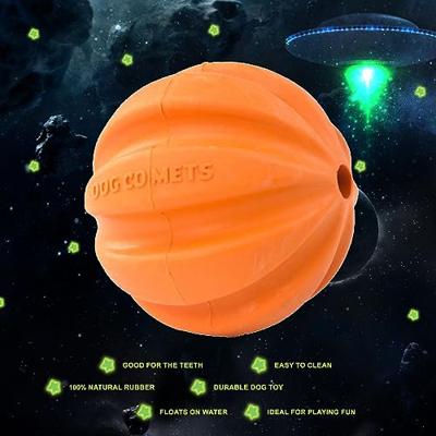 Dog Comets Swift Tuttle Met Touw Oranje