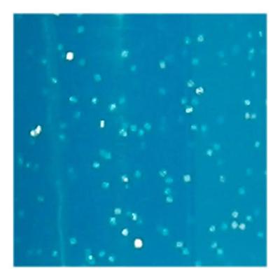 Creativ Company Glas- en porseleinstift glitter semi-dekkend - turquoise Creativ Company Glas- en porseleinstift glitter semi-dekkend - turquoise