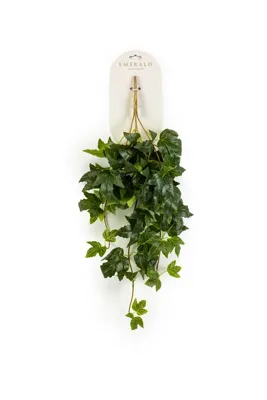 Kamerdruif hangend l20cm groen