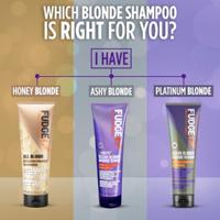 Shampoo Fudge Professional All Blonde Colour Boost 250 ml - thumbnail