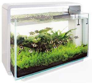 Superfish Home 30 aquarium wit
