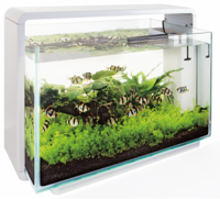 Superfish Home 30 aquarium wit - thumbnail
