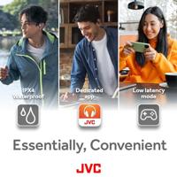 JVC HA-NP50T-C-U Oordopjes Grijs - thumbnail