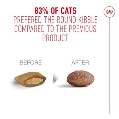Royal Canin FHN Ageing 11+ kattenvoer 4 kilo