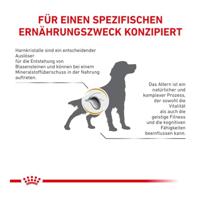 Royal Canin Veterinary Urinary S/O Ageing 7+ hondenvoer 3,5 kg - thumbnail