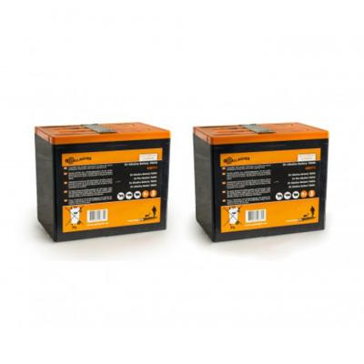 Gallagher Duopack Alkaline batterij 2x 9V/175Ah - 190x125x160mm - 065073 - 065073 Gallagher Duopack Alkaline batterij 2x 9V/175Ah - 190x125x160mm - 065073 - 065073