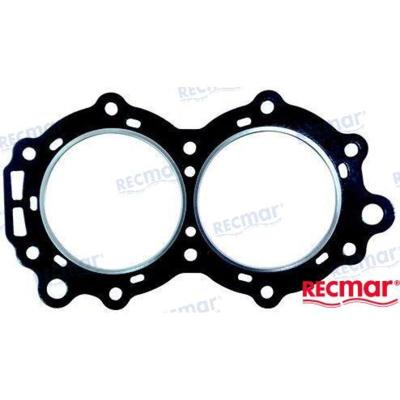 REC307069 - CILINDERKOPPAKKING Bombardier