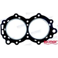 REC307069 - CILINDERKOPPAKKING Bombardier - thumbnail