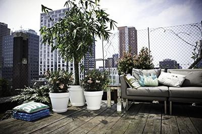 Elho Loft Urban Rond Antraciet Ø39cm met wielen