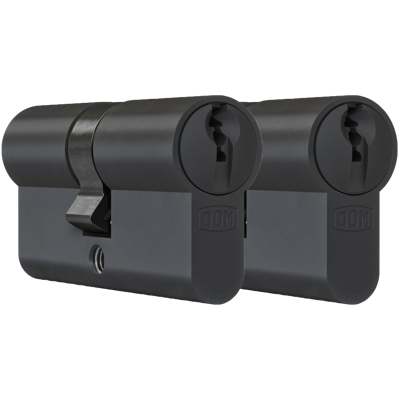 DOM Zwarte profielcilinder Plura 30/30mm - SKG 2 sterren - 2 gelijksluitende cilinders