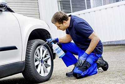 Gloria Haus und Garten 000614.0000 CleanMaster EXTREME EX 10 Industriële verstuiver 1 l Grijs, Blauw