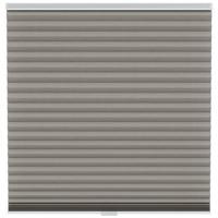 Fenstr plisségordijn Chicago dubbel 45mm lichtdoorlatend - taupe (30024) - thumbnail