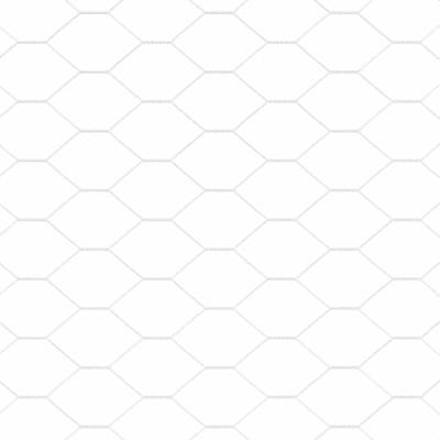 Zeskantig hekwerk Zilver 1.6 x 10 m Gegalvaniseerd staal