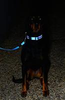 Rogz For Dogs snake long lijn roze - thumbnail