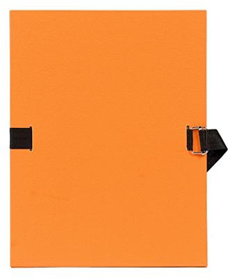 Exacompta uitschuifmap, voor ft A4, uit geplastificeerd karton, zonder kleppen