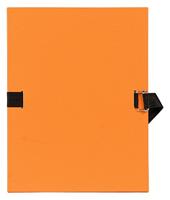 Exacompta uitschuifmap, voor ft A4, uit geplastificeerd karton, zonder kleppen - thumbnail