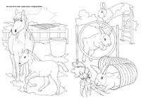 Kleurboek Boerderijdieren - thumbnail