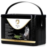 Excellent Herbs Tijm - thumbnail