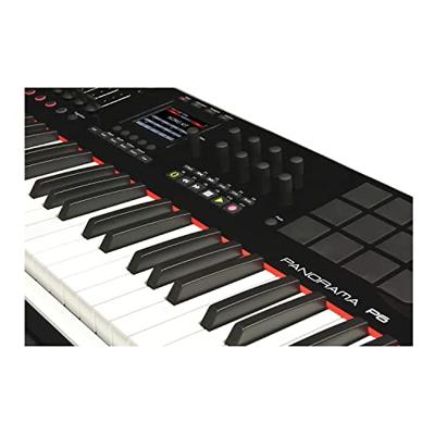Nektar Panorama P6 61 USB Midi controller