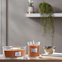 WoodWick ellipse candle chili pepper gelato - thumbnail