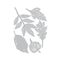 Sizzix • tim holtz thinlits die set skeleton leaves 5pcs - thumbnail
