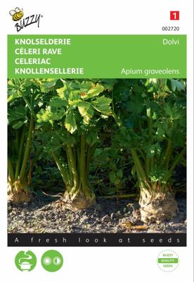 Zaden Knolselderij Dolvi Buzzy - Buzzy
